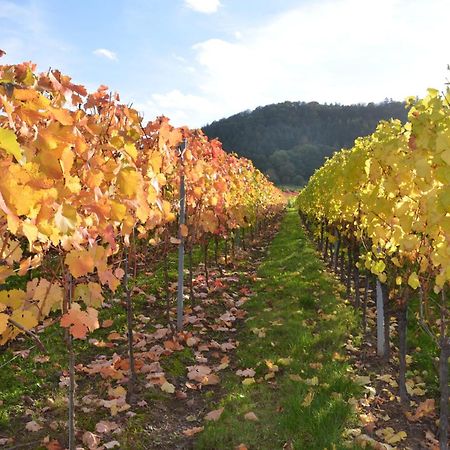Апартаменты Ferienweingut Gansen / Hochgenuss 1 Эрнст Экстерьер фото